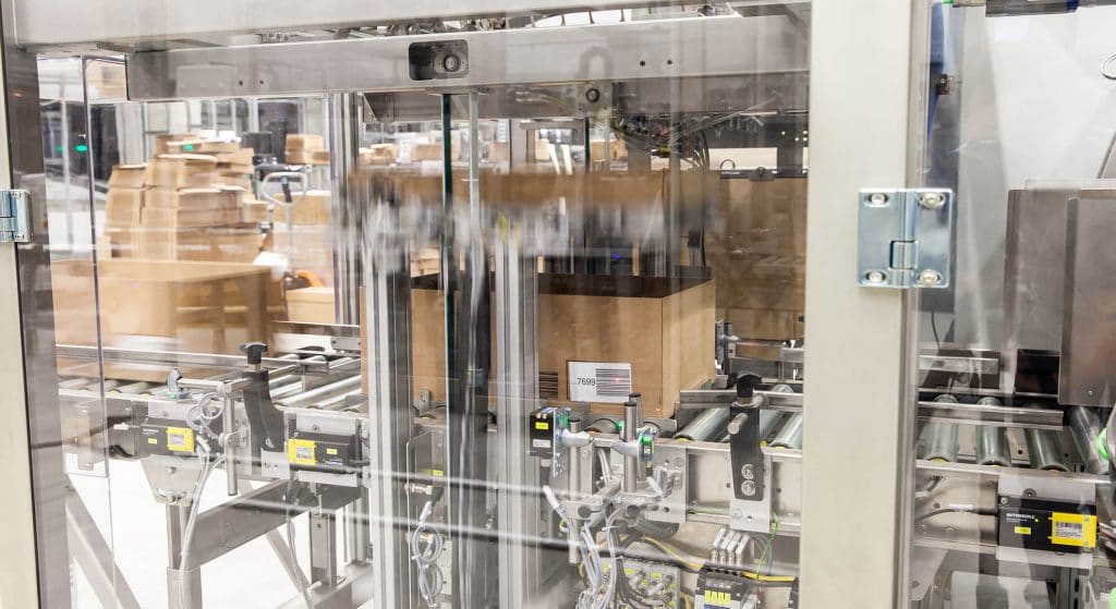 Carton erector