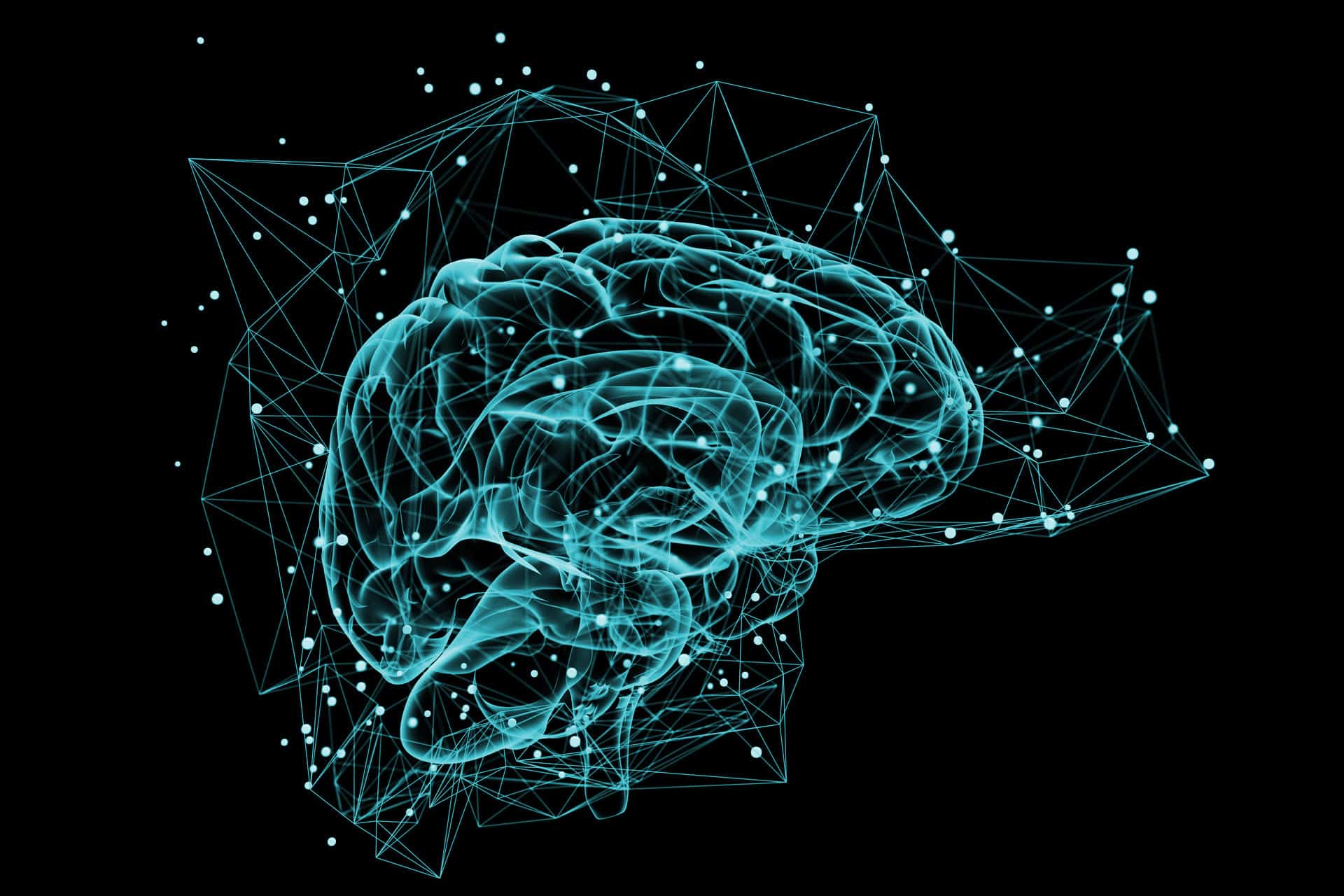 knapp-brain animated brain